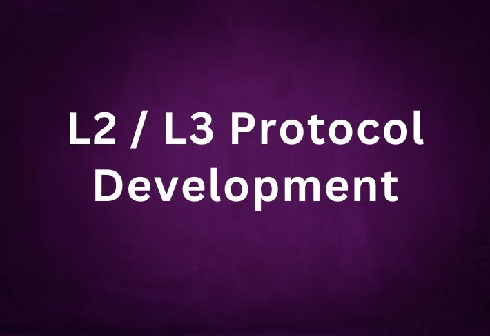 L2/L3 Protocol Development Course